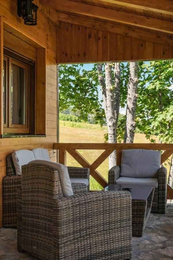 Vila Durmitor Nest Krstajic Žabljak 外观 照片