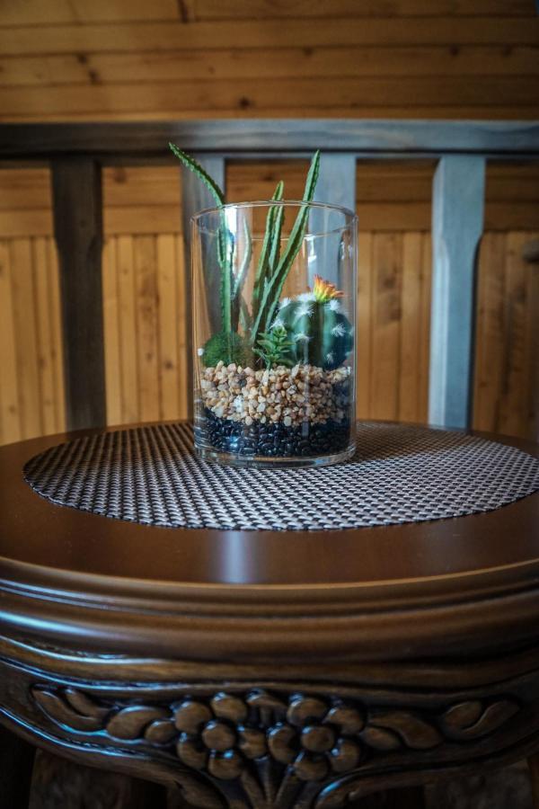 Vila Durmitor Nest Krstajic Žabljak 外观 照片