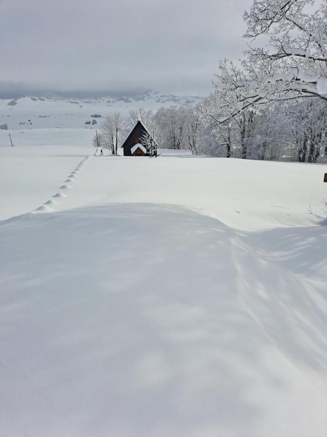Vila Durmitor Nest Krstajic Žabljak 外观 照片