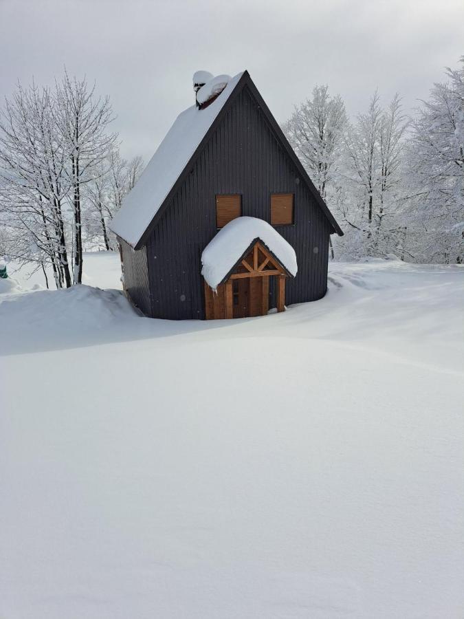 Vila Durmitor Nest Krstajic Žabljak 外观 照片