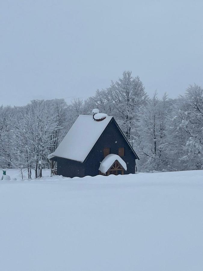 Vila Durmitor Nest Krstajic Žabljak 外观 照片
